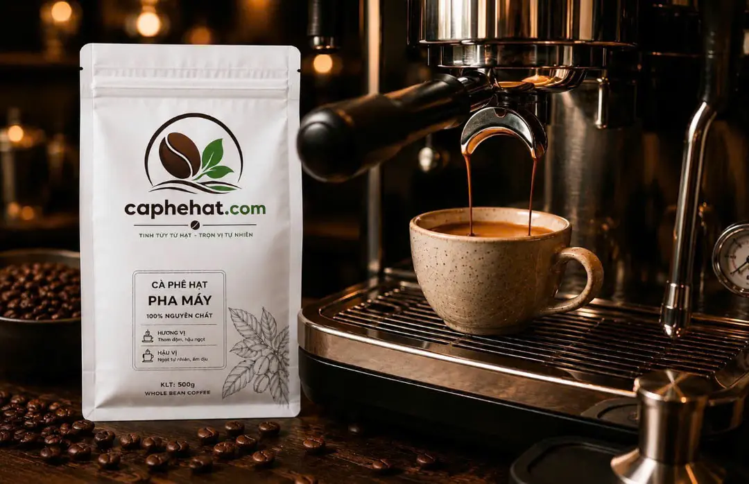 Chiết Xuất Espresso Chuẩn Với Cà Phê Hạt Pha Máy Nguyên Chất